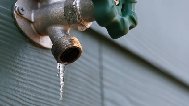 Best Shower Repair Services  in Webb City, MO